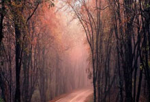 西甲第15輪皇家社會0-2馬德裏競技 埃爾莫索首開紀錄略倫特擴大分數.