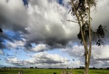 金年会体育官网入口：西甲實力碾壓！巴薩3-0馬競8場不敗躋身次席！菲利克斯破舊主不慶祝萊萬2傳1射！.