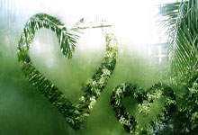 西媒曝齊達內將執教大巴黎 法媒稱齊祖下一站是法國國家隊.